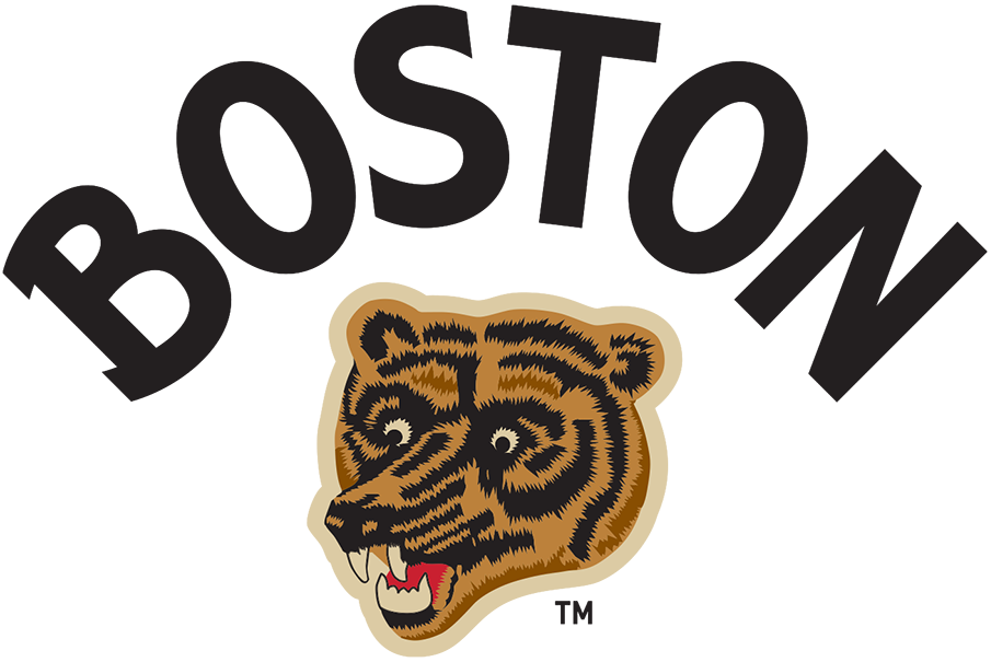 Boston Bruins 2023 Special Event Logo iron on heat transfer